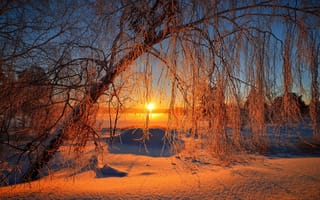 Картинка природа, пейзаж, деревья, небо, восход, снег, солнце, зима