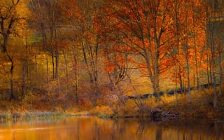 Картинка склон, осень, озеро, деревья