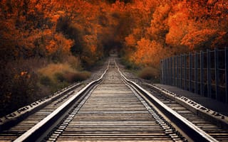 Картинка осень, путь, жд, деревья, мост