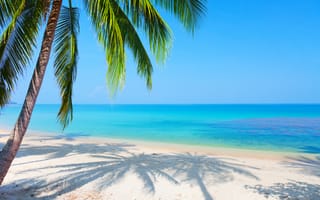 Картинка пейзаж, пляж, голубое небо, песок, море, пальма, отражение