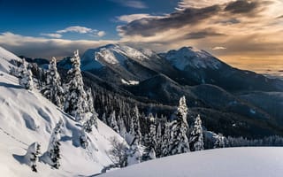 Картинка горы, природа, леревья, зима, пейзаж, снег