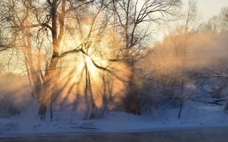 Картинка Зима, небо, туман, снег, восход, тень, свет, лес, деревья, утро, мороз, иней, река, лучи, солнце