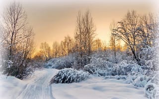 Картинка пейзаж, закат, вечер, снег, деревня, подмосковье, дорога, зима