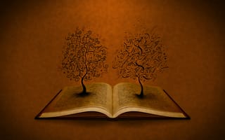 Обои буквы, книга, деревья