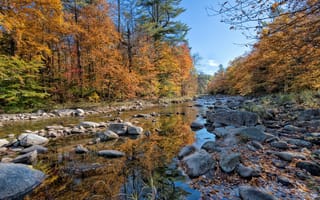 Картинка лес, камни, река, осень