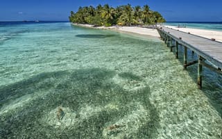 Картинка Мальдивы, пальмы, океан, курорт, остров, лето