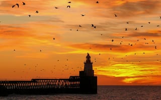Картинка пейзаж, маяк, небо, мост, птицы, закат