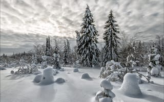 Обои зима, пейзаж, снег
