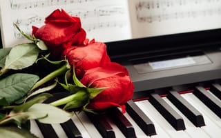 Картинка три, клавиши, ноты, красные, пианино, розы
