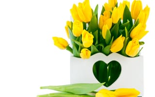 Картинка цветы, тюльпаны, желтые тюльпаны, букет