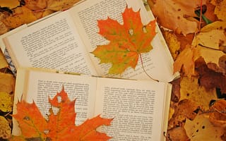 Картинка книги, кленовые, листья, осень