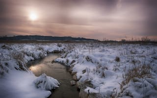 Картинка поле, снег, река, зима, лес