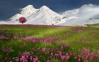 Обои горы, снег, зима, природа, весна