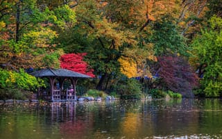 Картинка осень, Нью-Йорк, деревья, Центральный парк, Central Park, беседка, New York City, озеро
