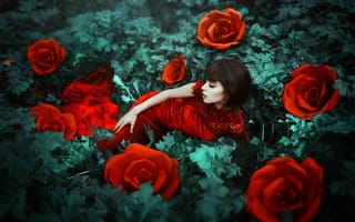 Картинка цветы, красное платье, девушка, Maria Eugenia, настроение, розы
