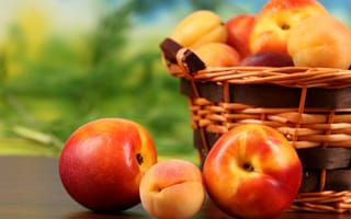 Картинка fruit, peaches, корзина, apricots, фрукты, абрикосы, персики, нектарин