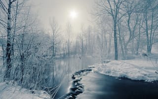 Картинка деревья, солнце, туман, река, зима