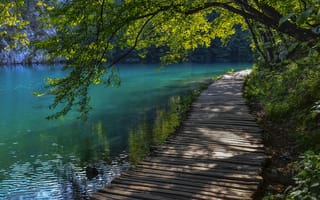 Картинка Хорватия, дорожка, вода, Плитвицкие озера, лето, кладь, дерево
