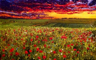 Картинка картина, "Вечернее небо над маковым полем", художник О.Кац, масло, холст