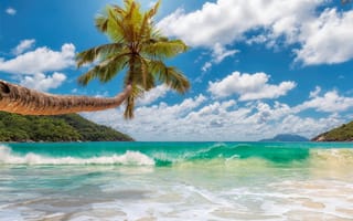Обои песок, море, пальмы, paradise, берег, sea, beach, island, tropical, palms, summer, пляж, солнце, sand