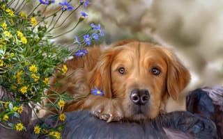 Картинка собака, текстура, цветы
