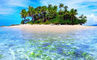 Картинка тропики, пальмы, океан, экзотика, остров
