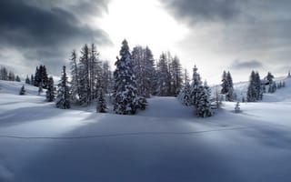 Картинка зима, пейзаж, снег