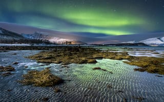Картинка Норвегия, водоросли, ночь, берег, песок, северное сияние, вода, снег, зима, рябь, горы, небо, остров, звезды