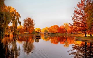 Картинка озеро, беседка, отражение, деревья, осень