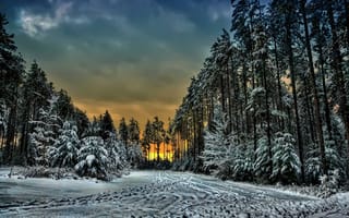 Картинка Канада, закат, Онтарио, снег, лес, зима, облака, деревья, следы