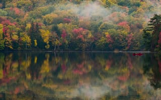 Картинка деревья, озеро, Франкония Нотч, Нью-Гэмпшир, осень, лес, Парк штата, США