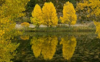 Картинка осень, отражение, деревья, река, листья, озеро