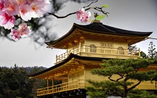Картинка Япония, цветение, розовые, цветы, сакура, вишня, ветка, крыша, дерево