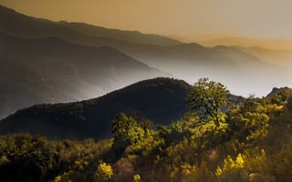 Картинка горы, туман, деревья, осень