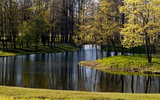 Картинка парк, река, пруд, деревья, озеро, листья, трава, осень