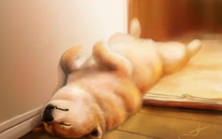 Картинка арт, дом, спит, собака, сон, щенок, на полу