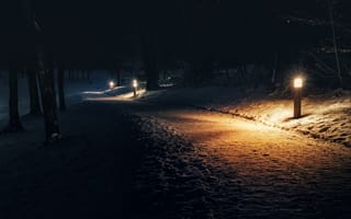 Картинка снег, ночь, парк