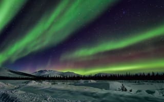 Картинка Аляска, небо, ночь, пейзаж, снег, звезды, северное сияние, деревья, горы