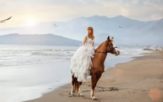 Картинка конь, море, девушка, Roberta Poccafassi, платье, Alessandro Di Cicco, чайки, лошадь, настроение