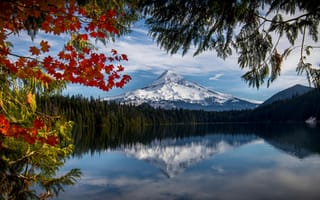 Картинка осень, лес, отражение, ветки, гора, Озеро Лост, Lost Lake, Орегон, Mount Hood, озеро, Mount Hood National Forest, гора Худ, Oregon