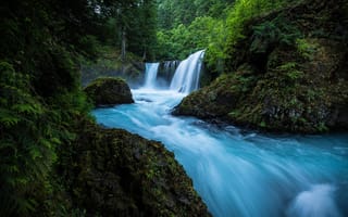 Обои лес, река, Ущелье реки Колумбия, Spirit Falls, водопад, Little White Salmon River, Washington, Columbia River Gorge, мох, штат Вашингтон