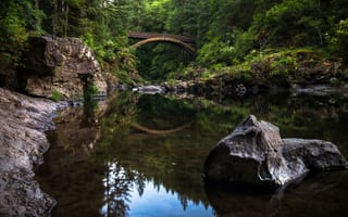 Картинка лес, мост, Yacolt, отражение, Lewis River, Яколт, камень, Moulton Falls Regional Park, штат Вашингтон, Washington, река