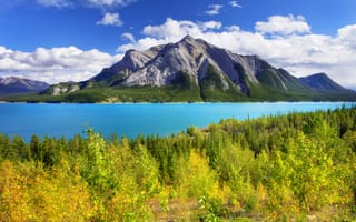 Картинка abraham lake, деревья, banff, горы, листья, alberta, канада, лес, небо, озеро, осень