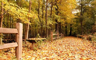 Картинка забор, парк, лавочка, осень, листья, желтые, деревья