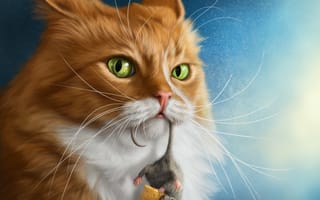 Картинка кот, сыр, мышонок, взгляд
