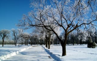 Картинка небо, снег, мороз, зима, пейзаж, деревья, иней, дорога