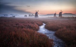 Картинка landscape, Holland, sunset, Netherlands, windmills, grass, sky, nature, field, evening, stream, mist, clouds, twilight, fog