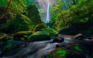 Картинка водопад, листья, скалы, ручей, человек, кусты, мох, камни, лес, США, зелень, деревья