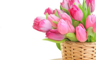 Картинка цветы, яйца, тюльпаны, Пасха