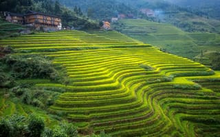 Картинка Гуанси, терассы, дом, горы, Китай, чайная плантация, склон